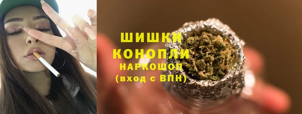 PSILOCYBIN Балахна