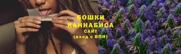 PSILOCYBIN Балахна
