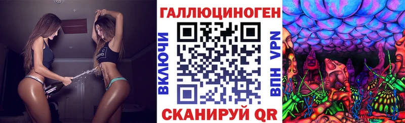 цены наркотик  площадка телеграм  Галлюциногенные грибы Psilocybe  Гдов 